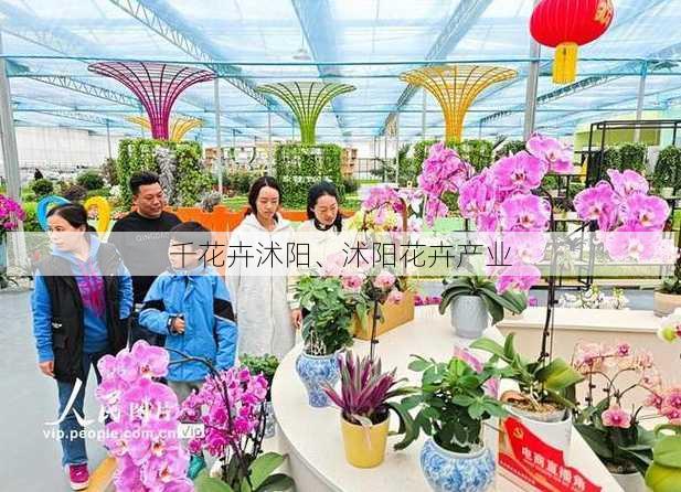 千花卉沭阳、沭阳花卉产业