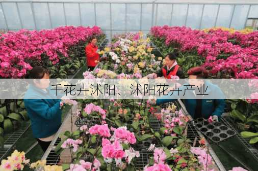 千花卉沭阳、沭阳花卉产业