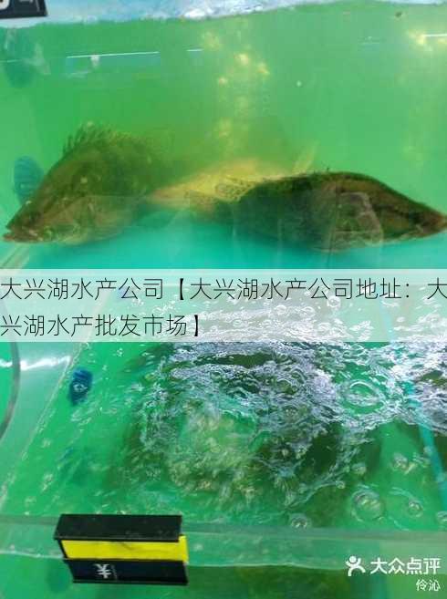 大兴湖水产公司【大兴湖水产公司地址：大兴湖水产批发市场】