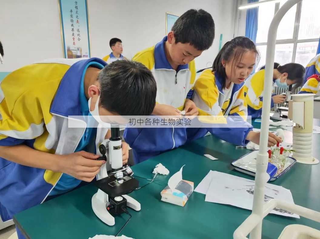 初中各种生物实验