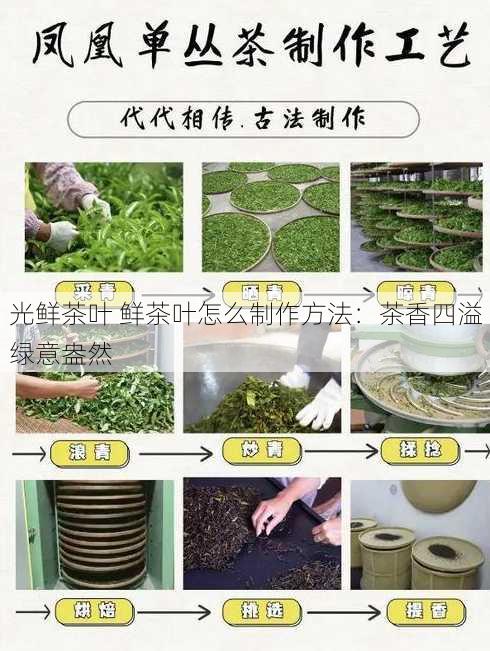 光鲜茶叶 鲜茶叶怎么制作方法：茶香四溢绿意盎然