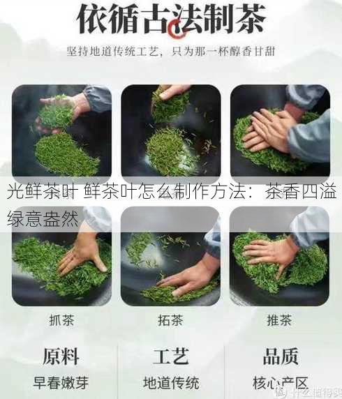 光鲜茶叶 鲜茶叶怎么制作方法：茶香四溢绿意盎然