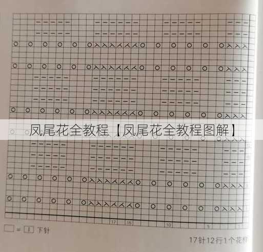 凤尾花全教程【凤尾花全教程图解】