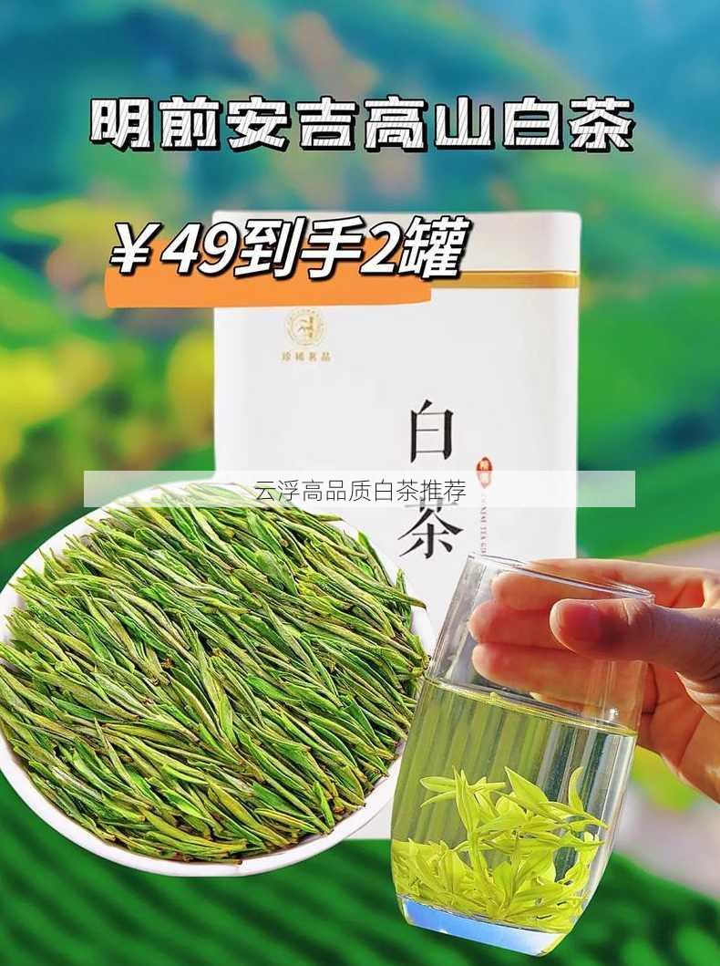 云浮高品质白茶推荐