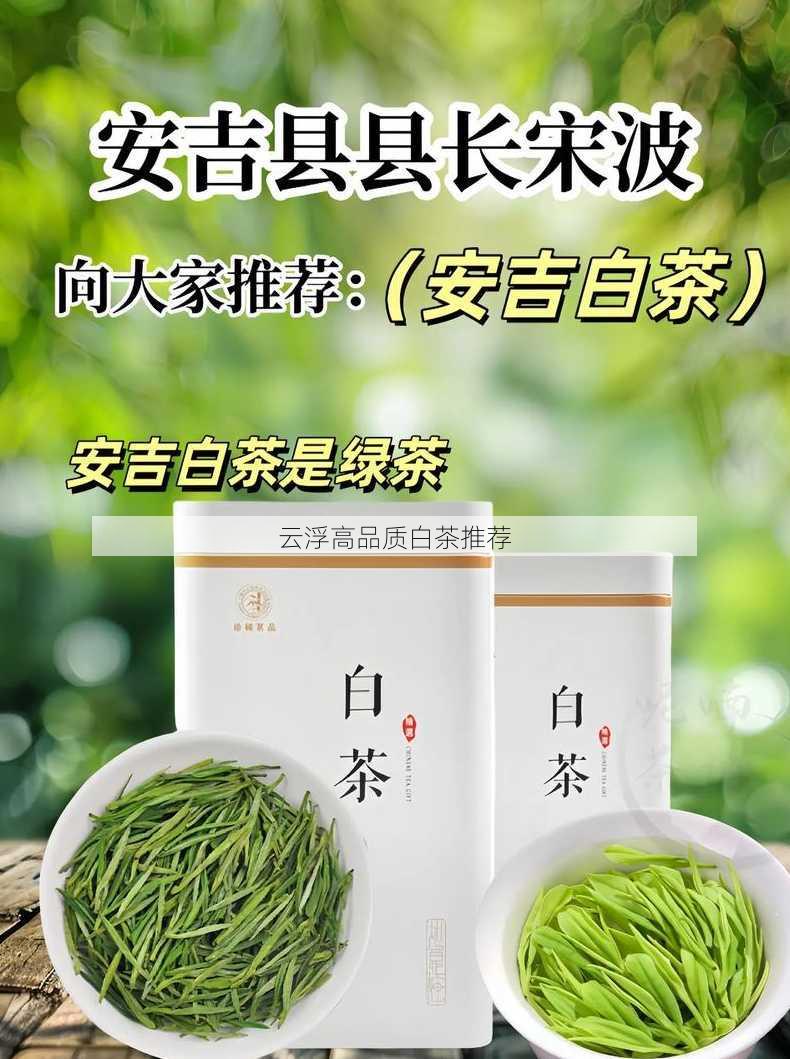 云浮高品质白茶推荐