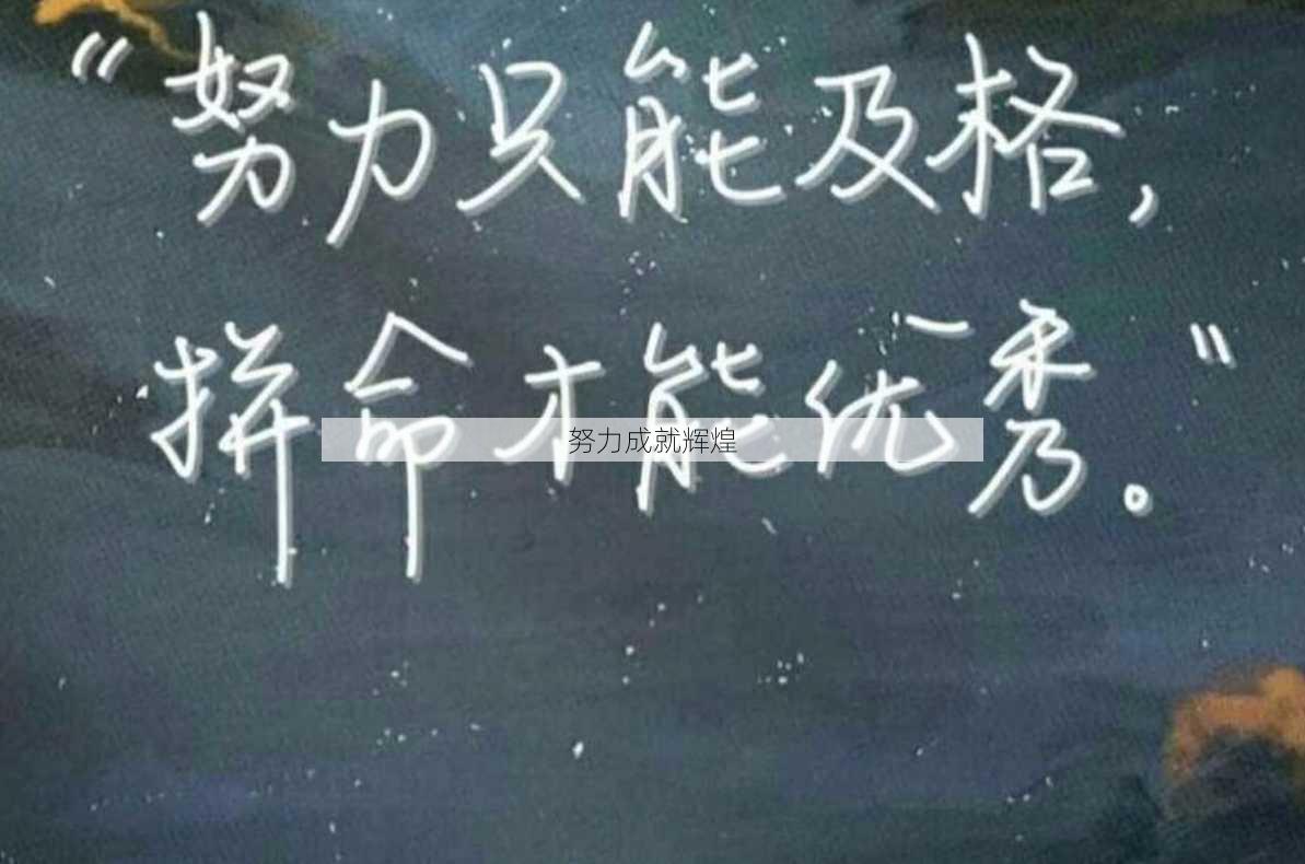 努力成就辉煌