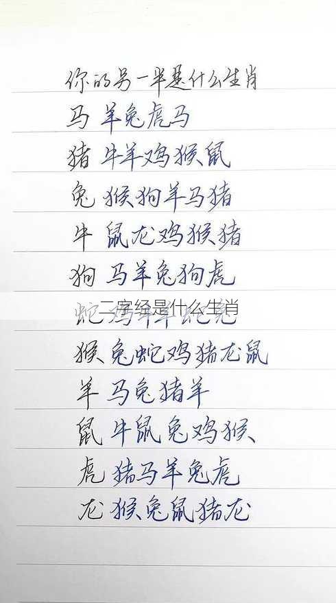 二字经是什么生肖