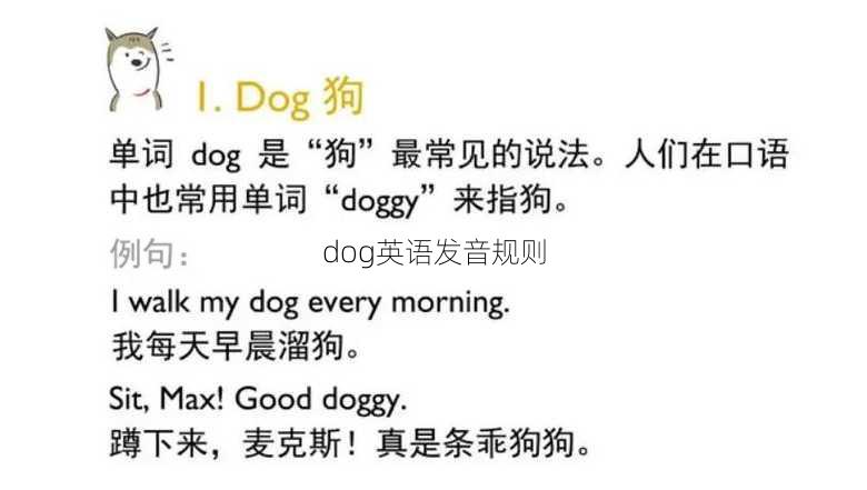 dog英语发音规则