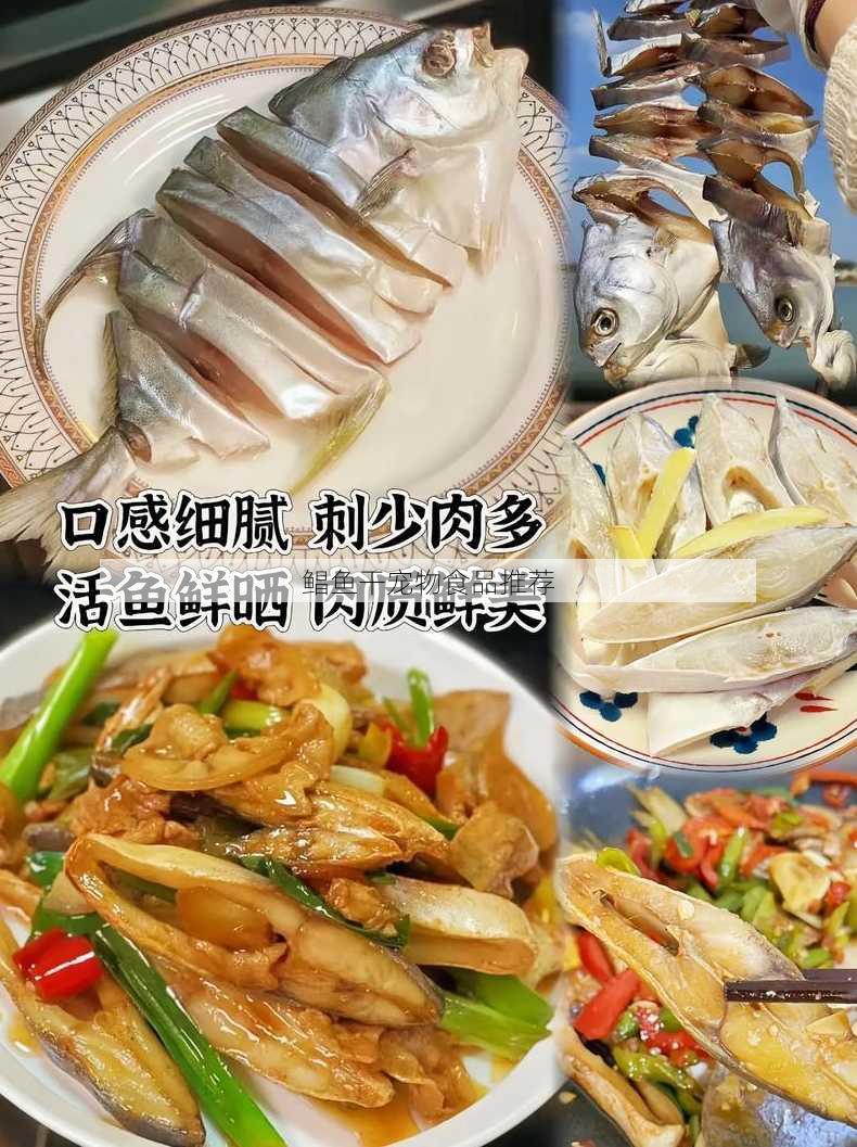 鲳鱼干宠物食品推荐