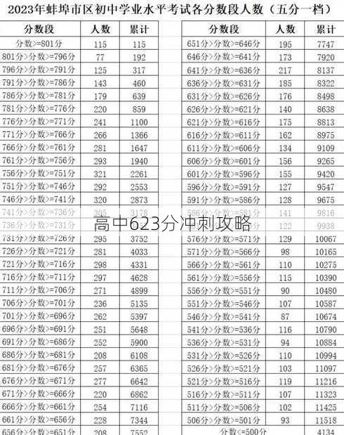 高中623分冲刺攻略