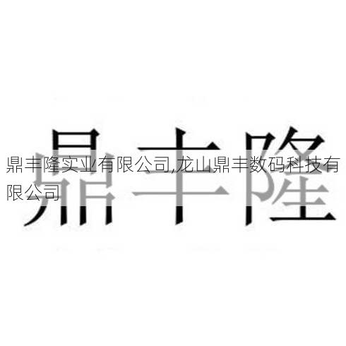 鼎丰隆实业有限公司,龙山鼎丰数码科技有限公司