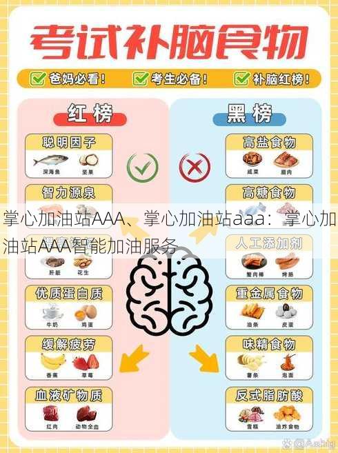 掌心加油站AAA、掌心加油站aaa：掌心加油站AAA智能加油服务