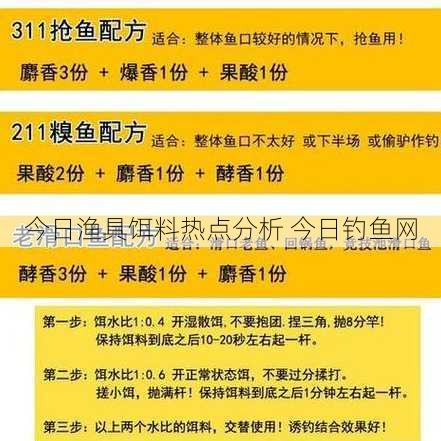 今日渔具饵料热点分析 今日钓鱼网