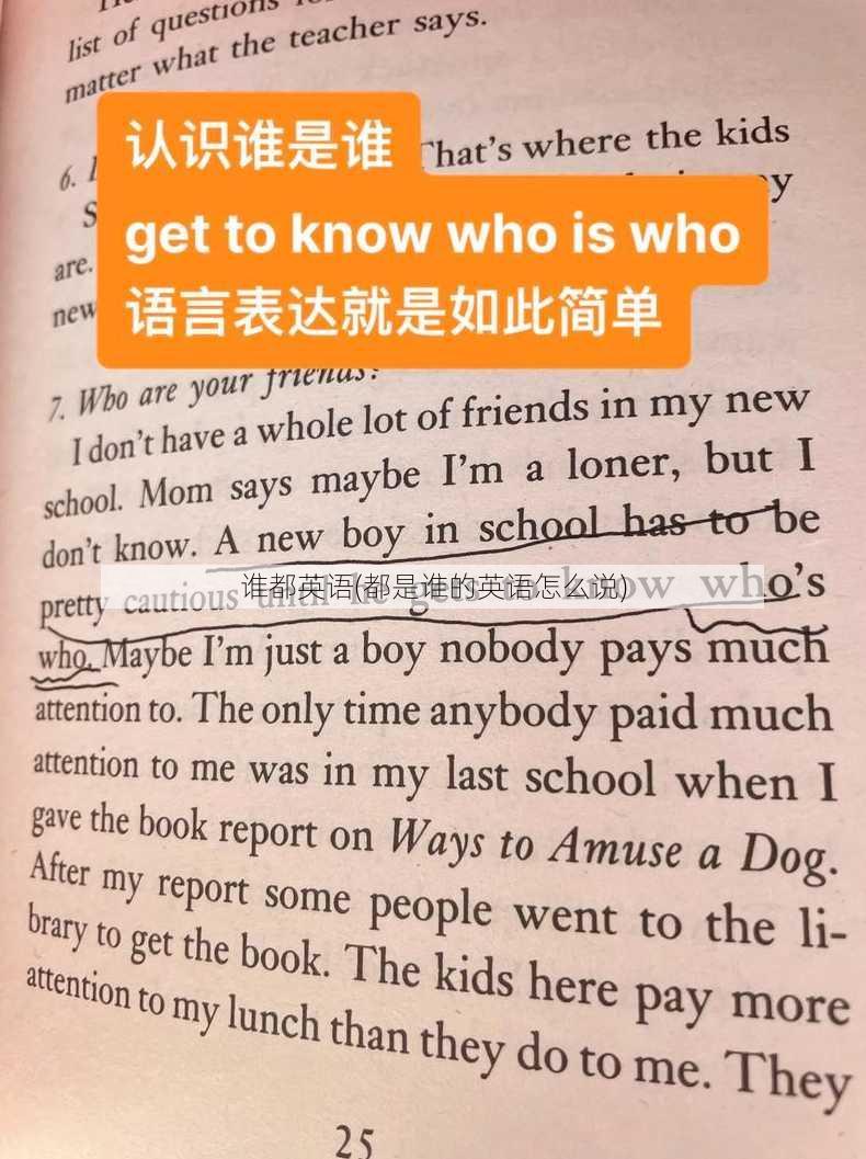 谁都英语(都是谁的英语怎么说)