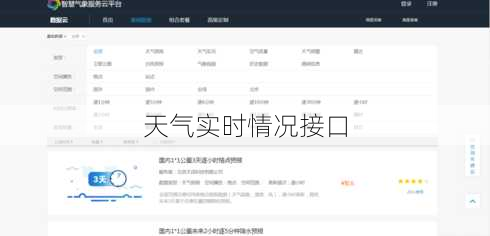 天气实时情况接口