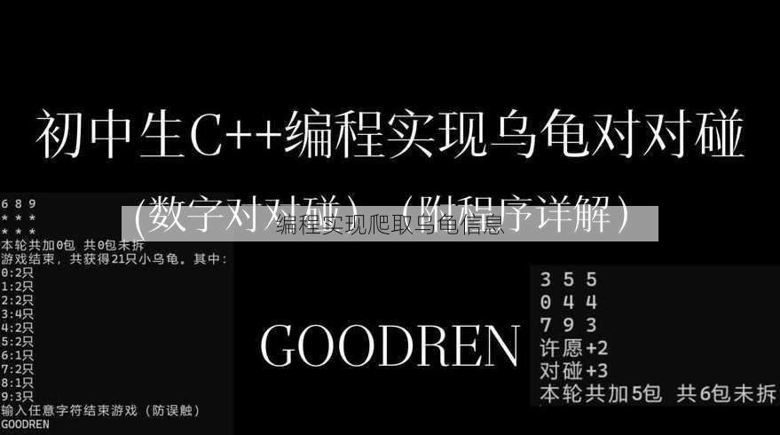 编程实现爬取乌龟信息