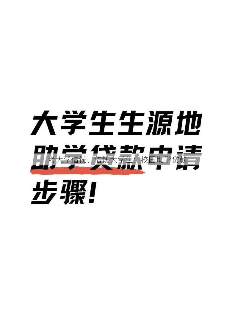 考大学借钱、借钱大学生：校园助学贷款