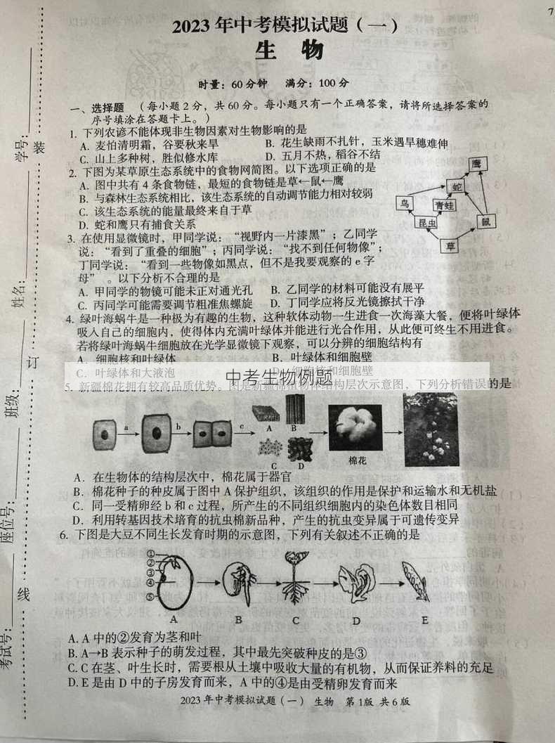 中考生物例题