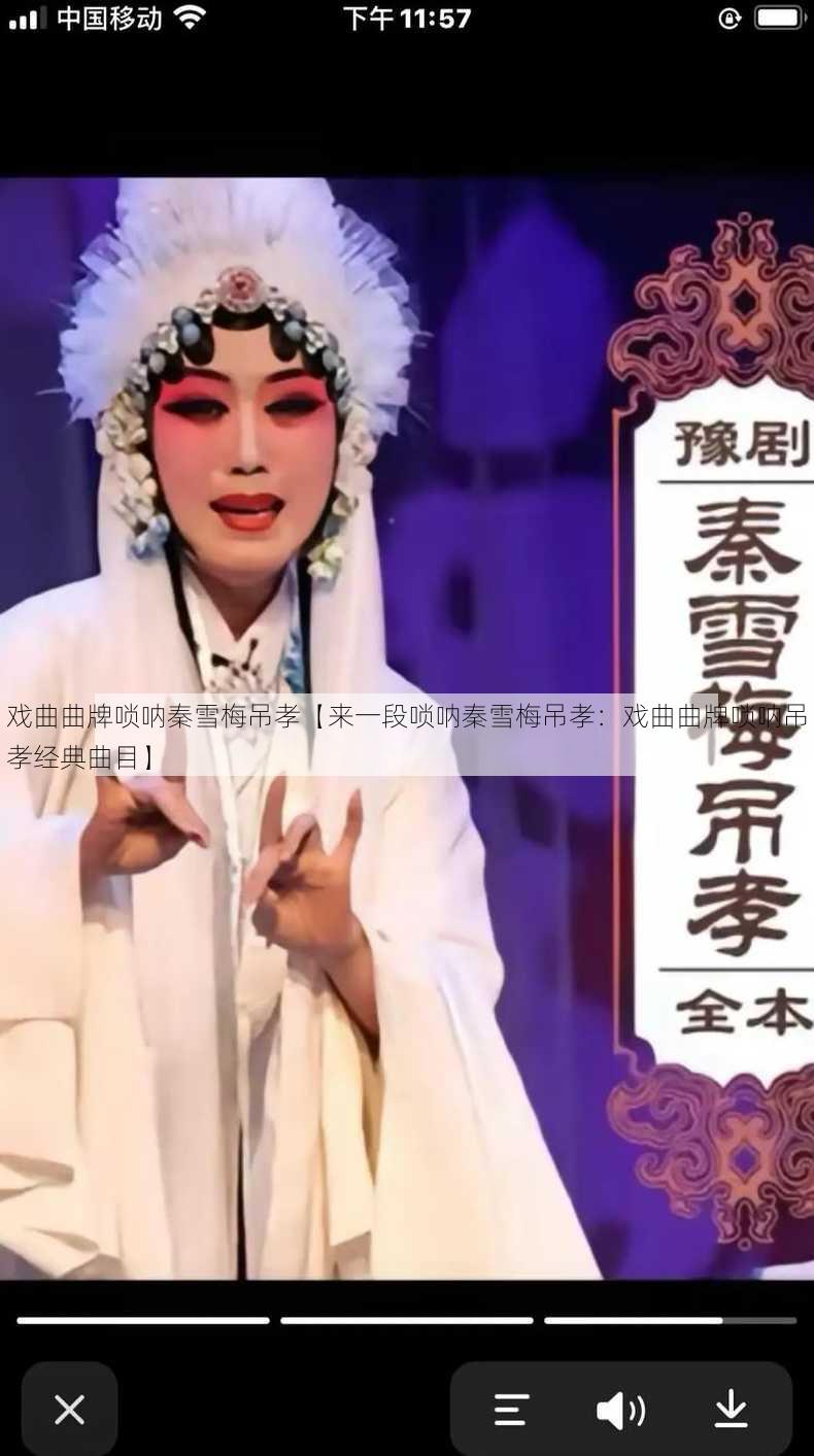 戏曲曲牌唢呐秦雪梅吊孝【来一段唢呐秦雪梅吊孝：戏曲曲牌唢呐吊孝经典曲目】