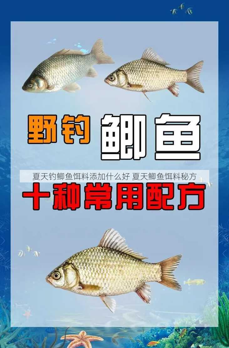 夏天钓鲫鱼饵料添加什么好 夏天鲫鱼饵料秘方