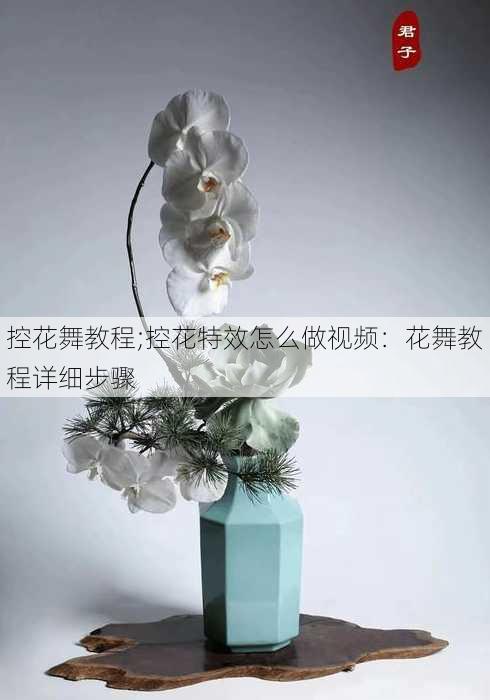 控花舞教程;控花特效怎么做视频：花舞教程详细步骤