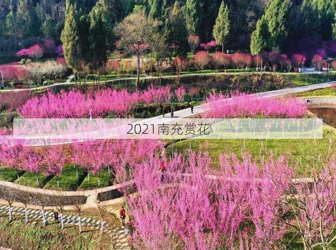 2021南充赏花