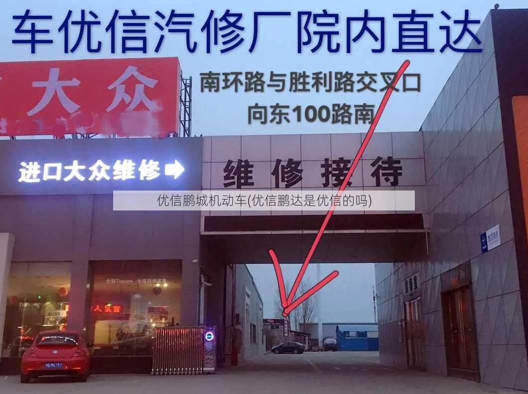 优信鹏城机动车(优信鹏达是优信的吗)