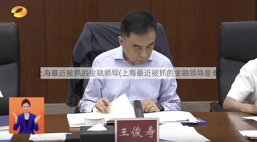 上海最近被抓的金融领导(上海最近被抓的金融领导是谁)