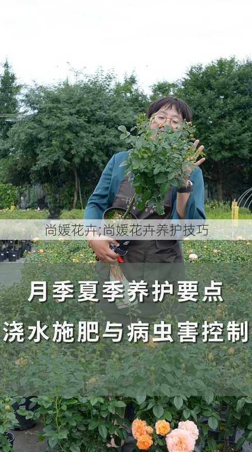 尚媛花卉;尚媛花卉养护技巧