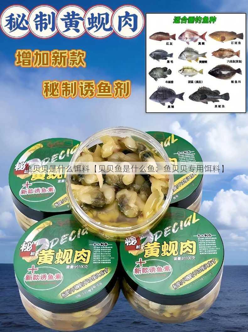 鱼贝贝是什么饵料【贝贝鱼是什么鱼：鱼贝贝专用饵料】