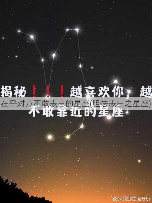 在乎对方不敢表白的星座(胆怯表白之星座)