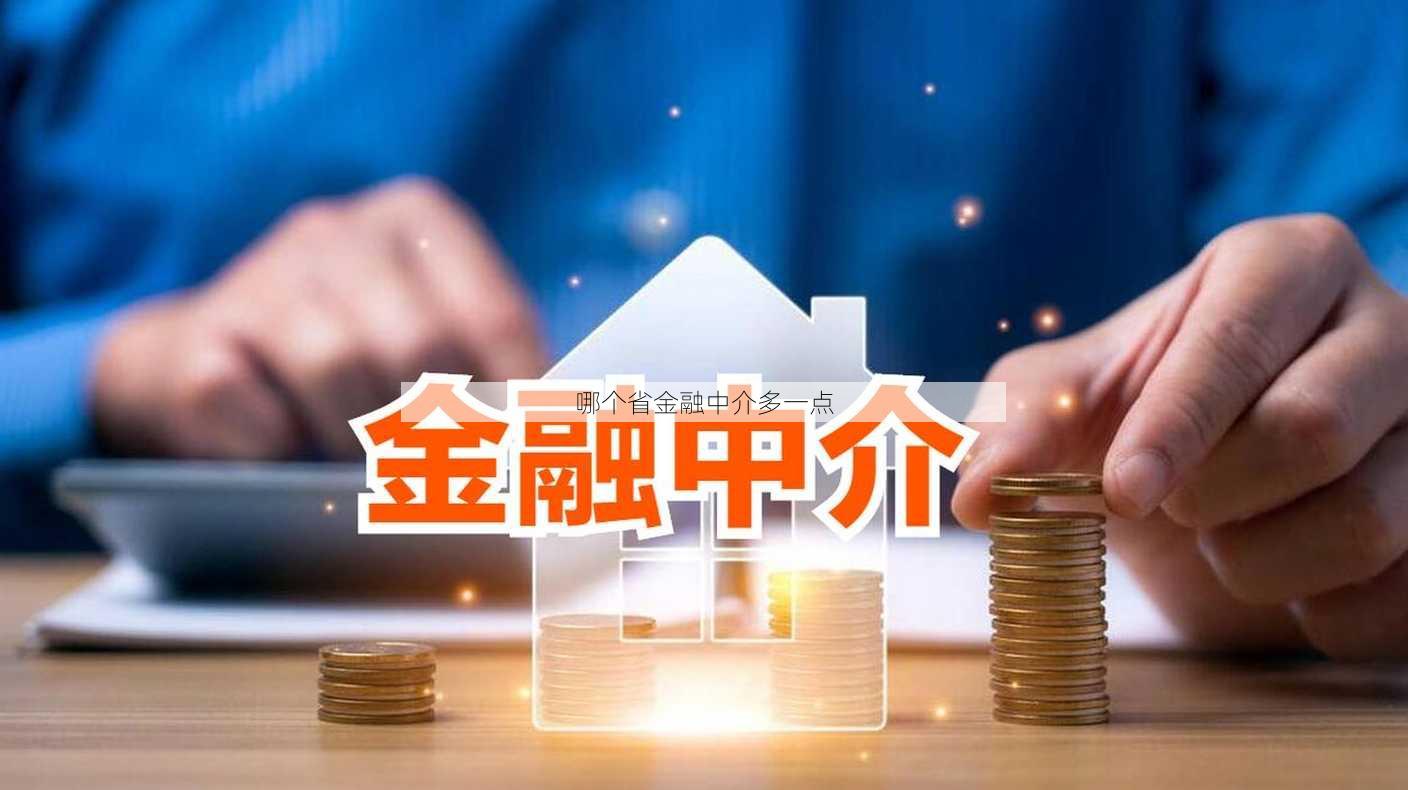 哪个省金融中介多一点