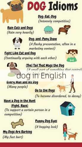 dog in English