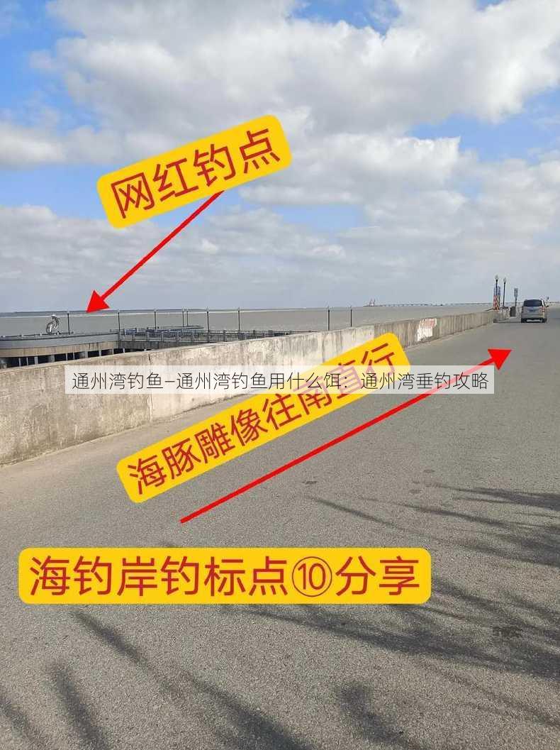 通州湾钓鱼—通州湾钓鱼用什么饵：通州湾垂钓攻略