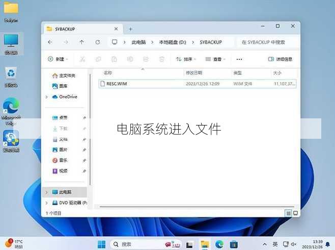 电脑系统进入文件