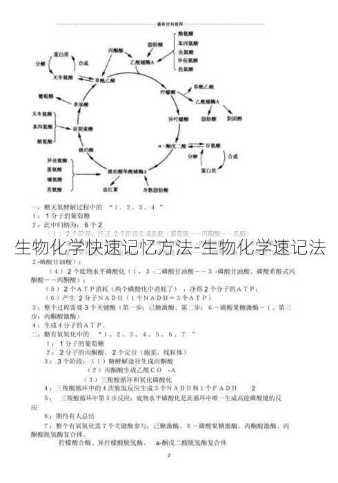 生物化学快速记忆方法-生物化学速记法