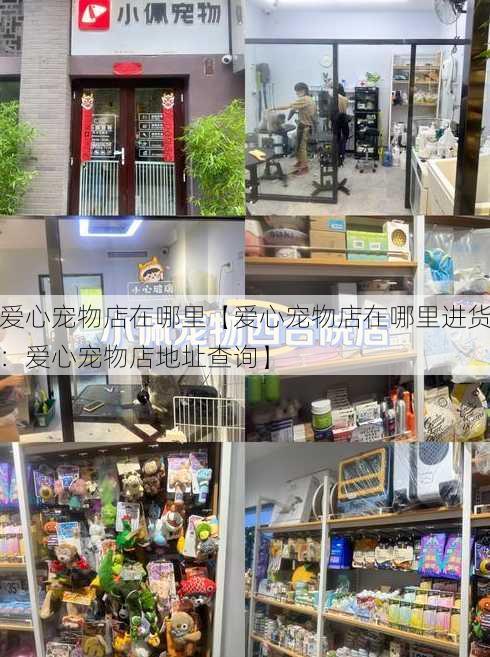 爱心宠物店在哪里【爱心宠物店在哪里进货：爱心宠物店地址查询】