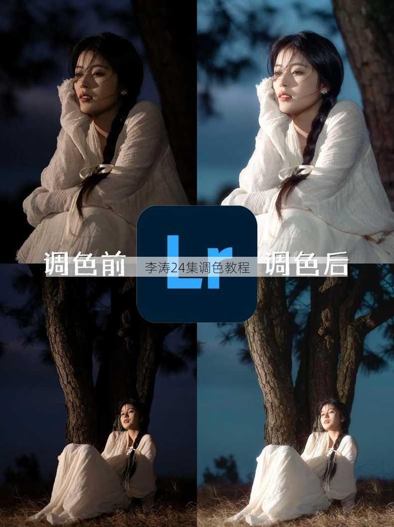 李涛24集调色教程