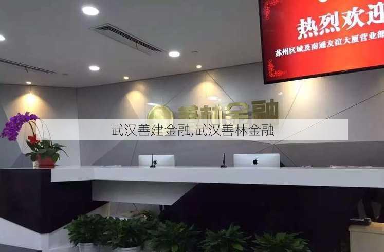 武汉善建金融,武汉善林金融