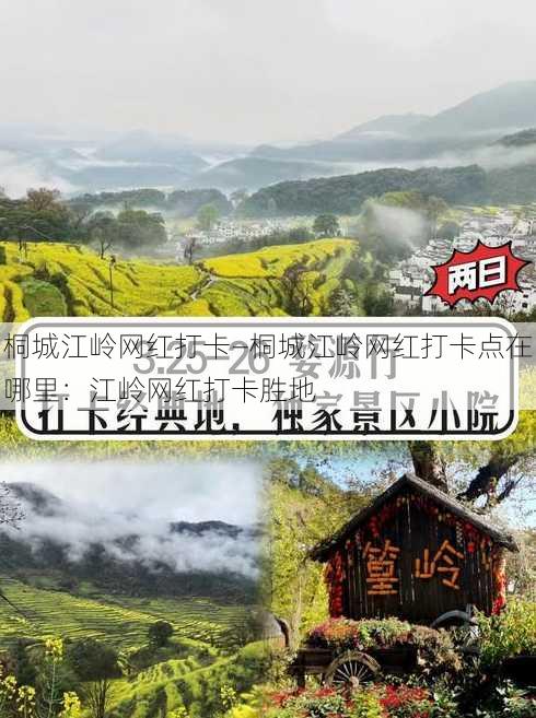 桐城江岭网红打卡—桐城江岭网红打卡点在哪里：江岭网红打卡胜地