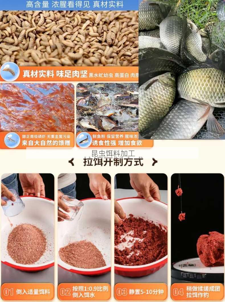 昆虫饵料加工