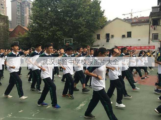 武汉实验中学校服图片大全